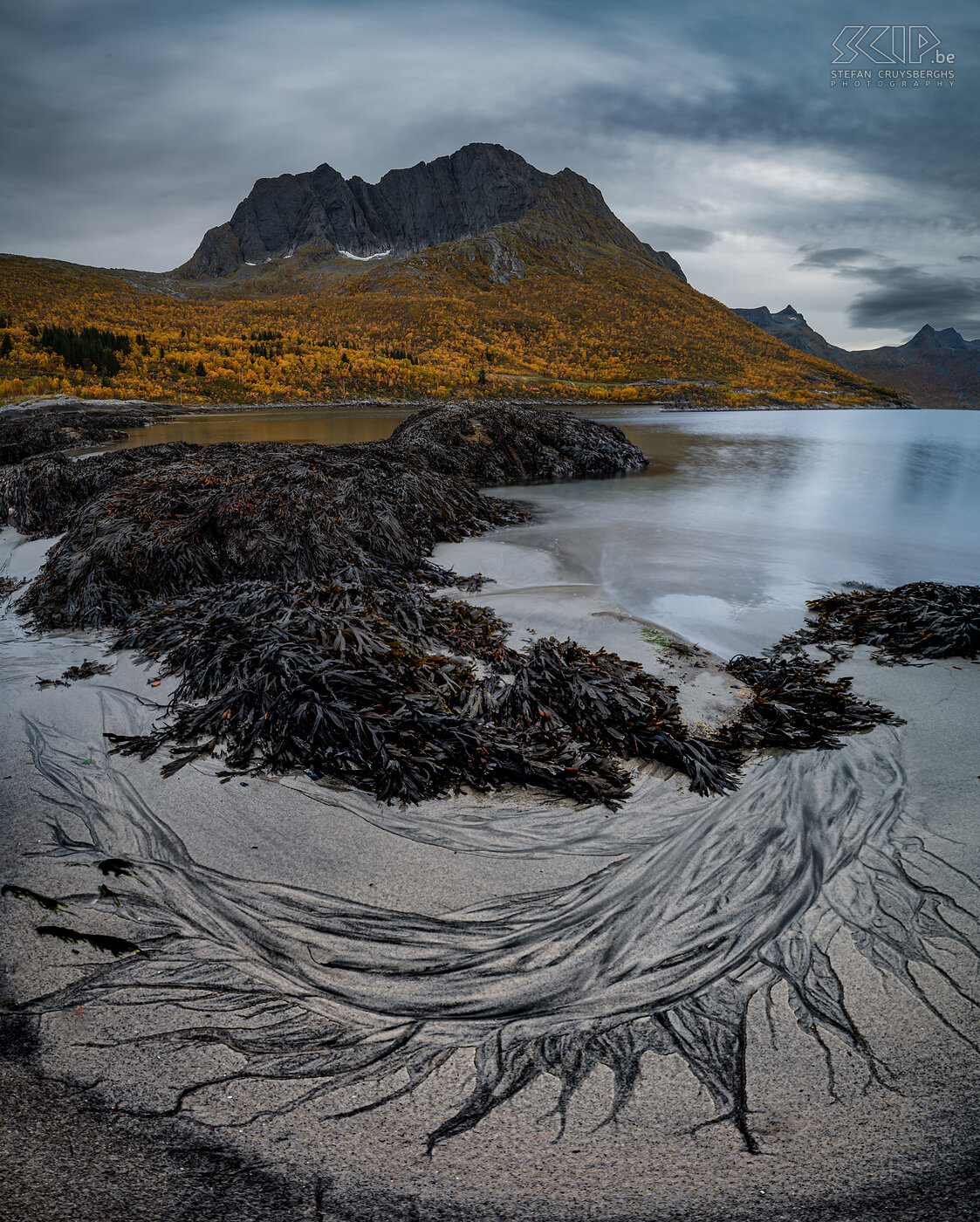 Senja - Mefjordbotn Beautiful traces of seaweed washing away on the beach of Mefjordbotn Stefan Cruysberghs